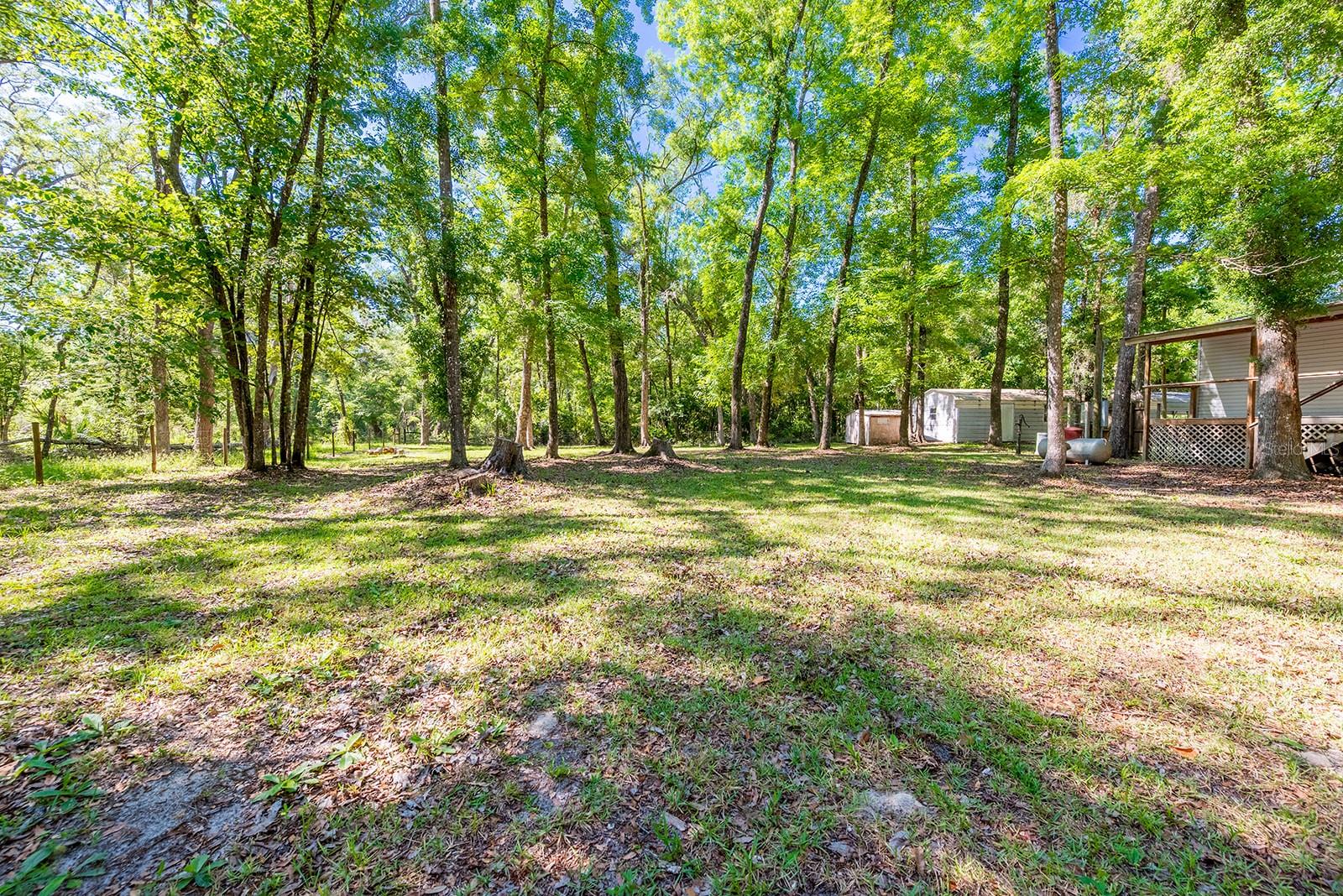 DEER TRACE - Residential