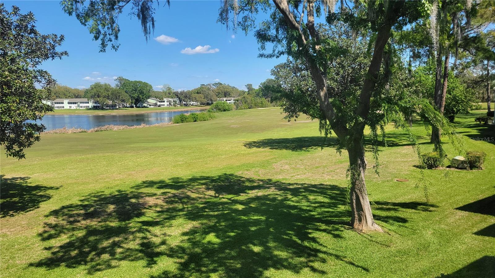 FAIRWAYS AT SILVER SPRINGS SHORES - Residential