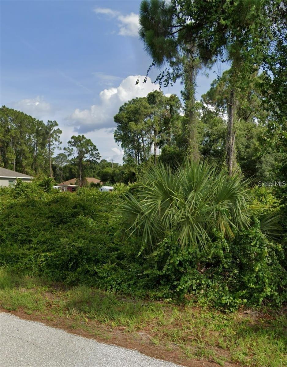 TBD KNOTTY PINE AVENUE