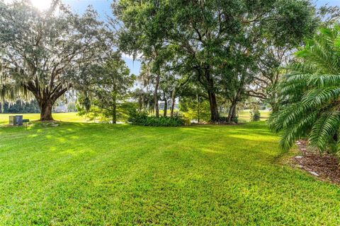 Tiny photo for 7023 Arcadian Court, Mount Dora, FL 32757 (MLS # G5104462)