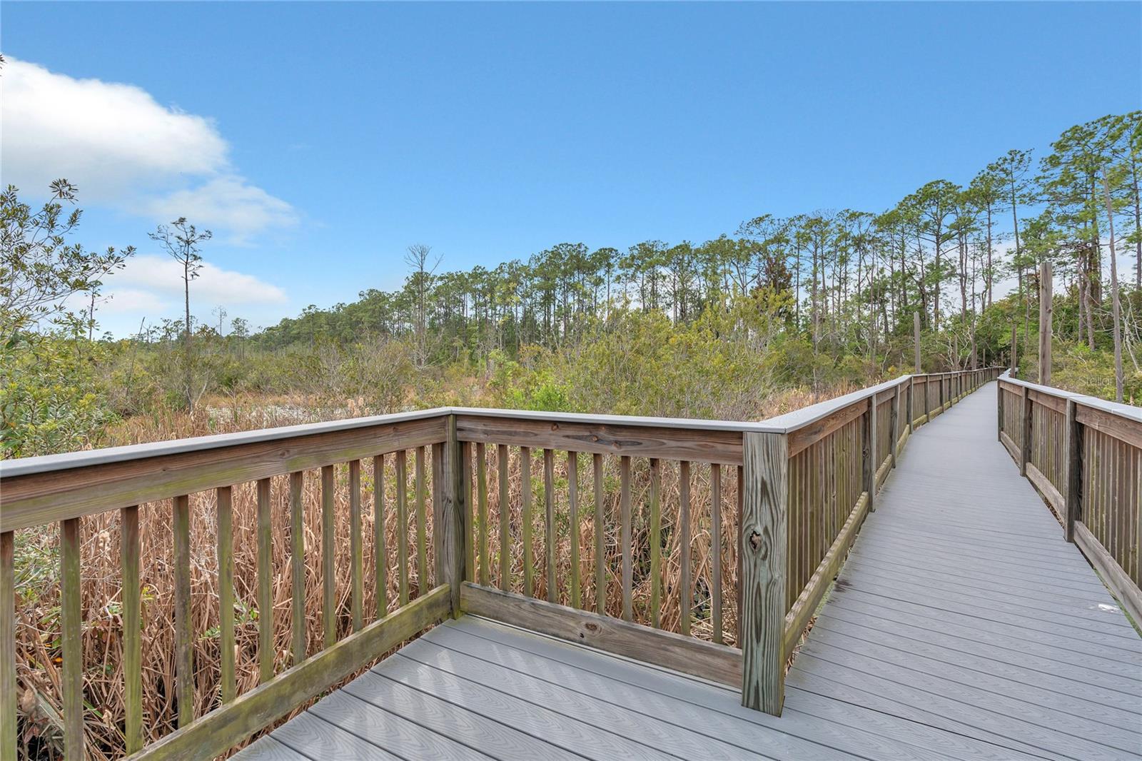 PARADISE PALMS RESORT PH 4 - Residential