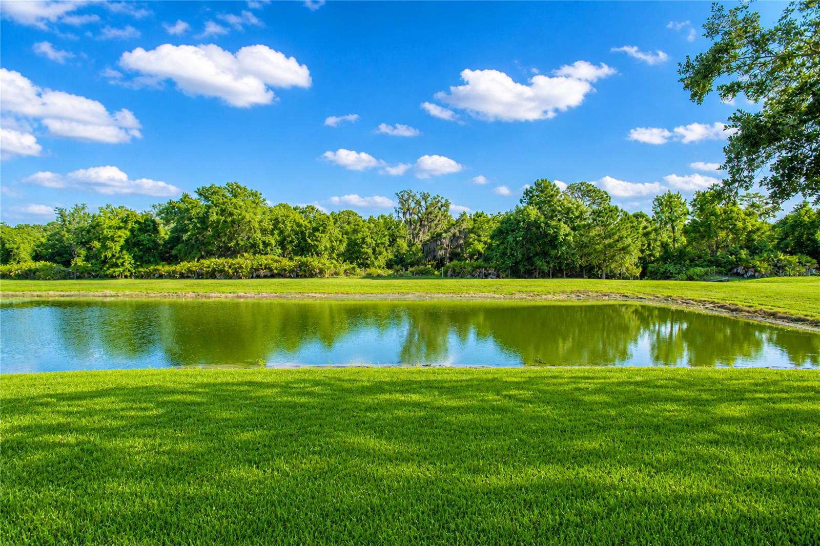 SAWGRASS PLANTATION-PH 1A - Residential