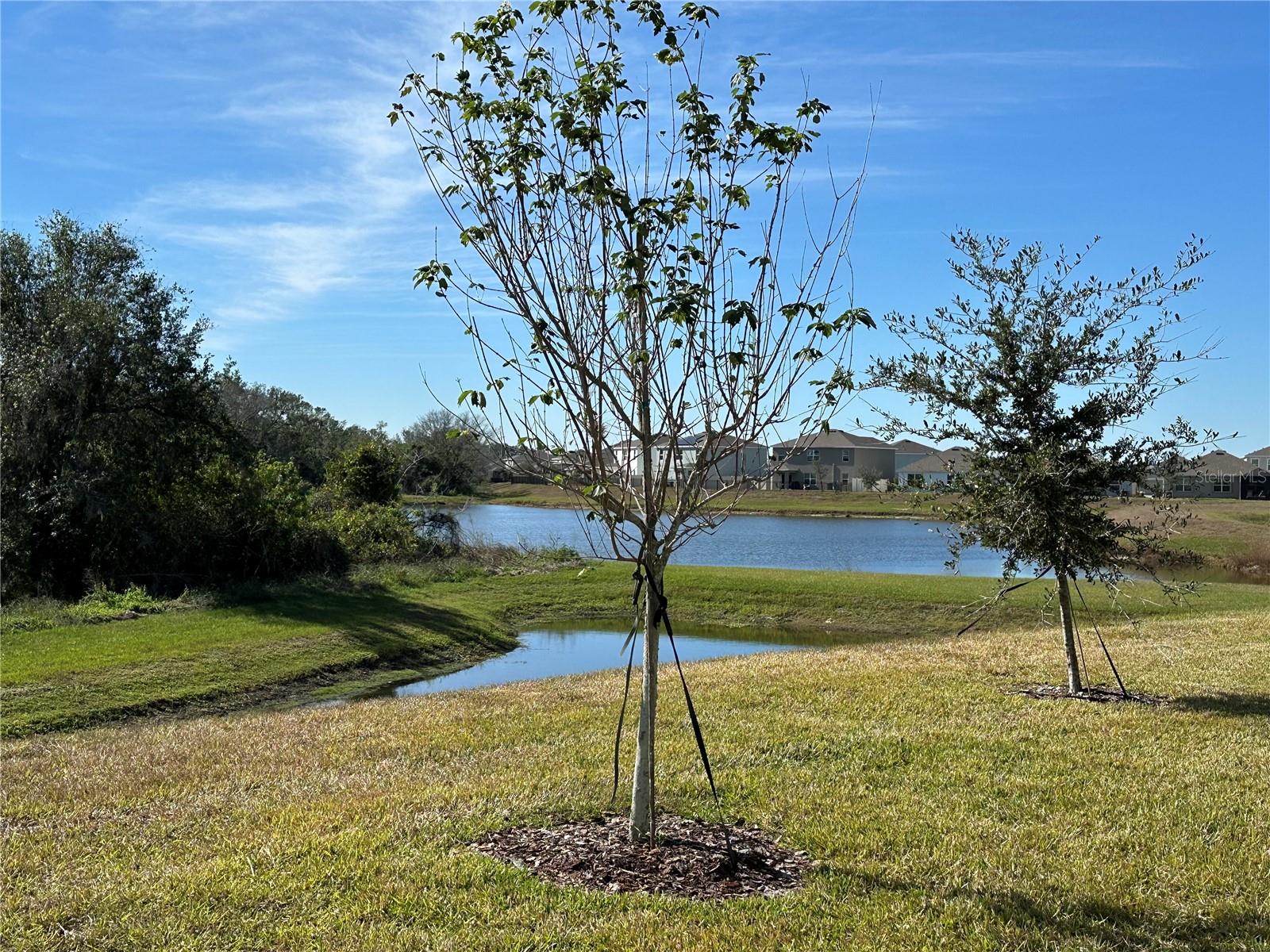17637 CANTARINA COVE