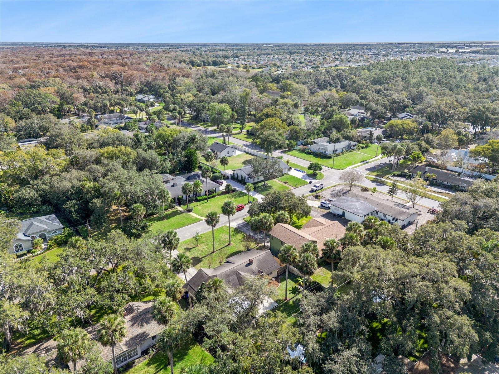 MARVANIA 1ST SEC - Residential