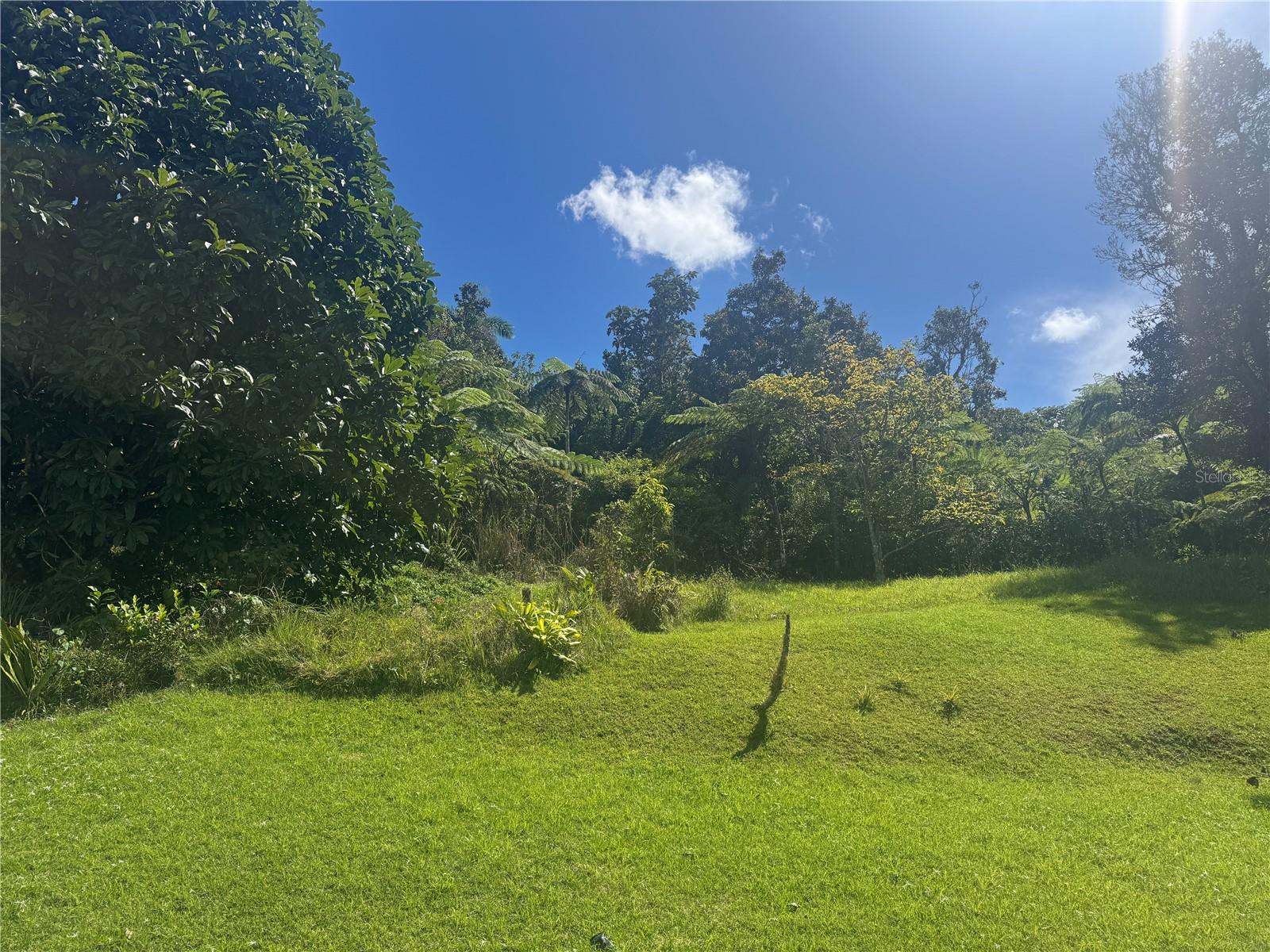 FINCAS MI RECREO - Residential