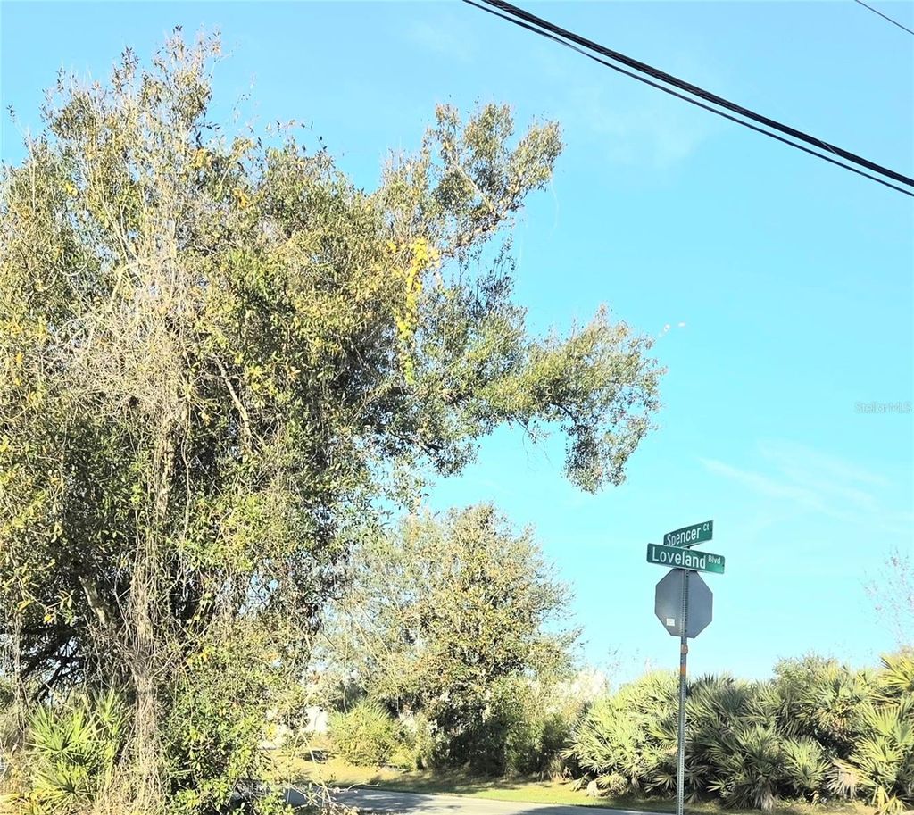 Photo of 23507 Spencer Court, Punta Gorda, FL 33980 (MLS # C7520011)