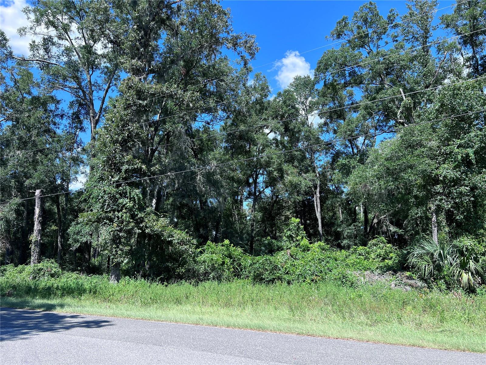 SUWANNEE RIVER ESTATE - Land