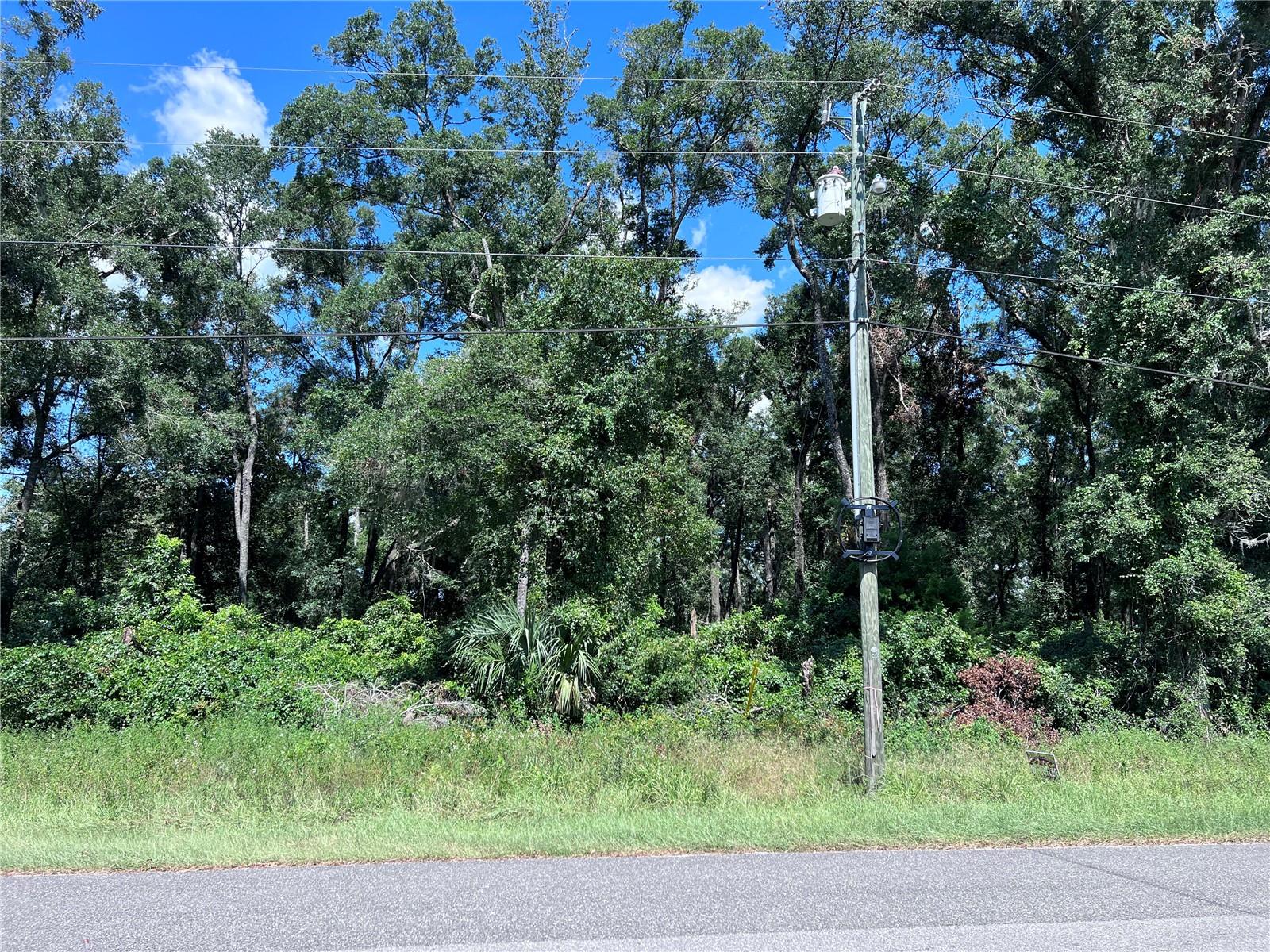 SUWANNEE RIVER ESTATE - Land