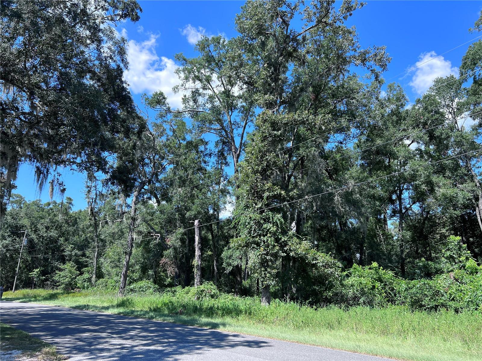 SUWANNEE RIVER ESTATE - Land