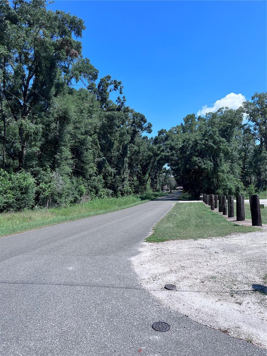 SUWANNEE RIVER ESTATE - Land