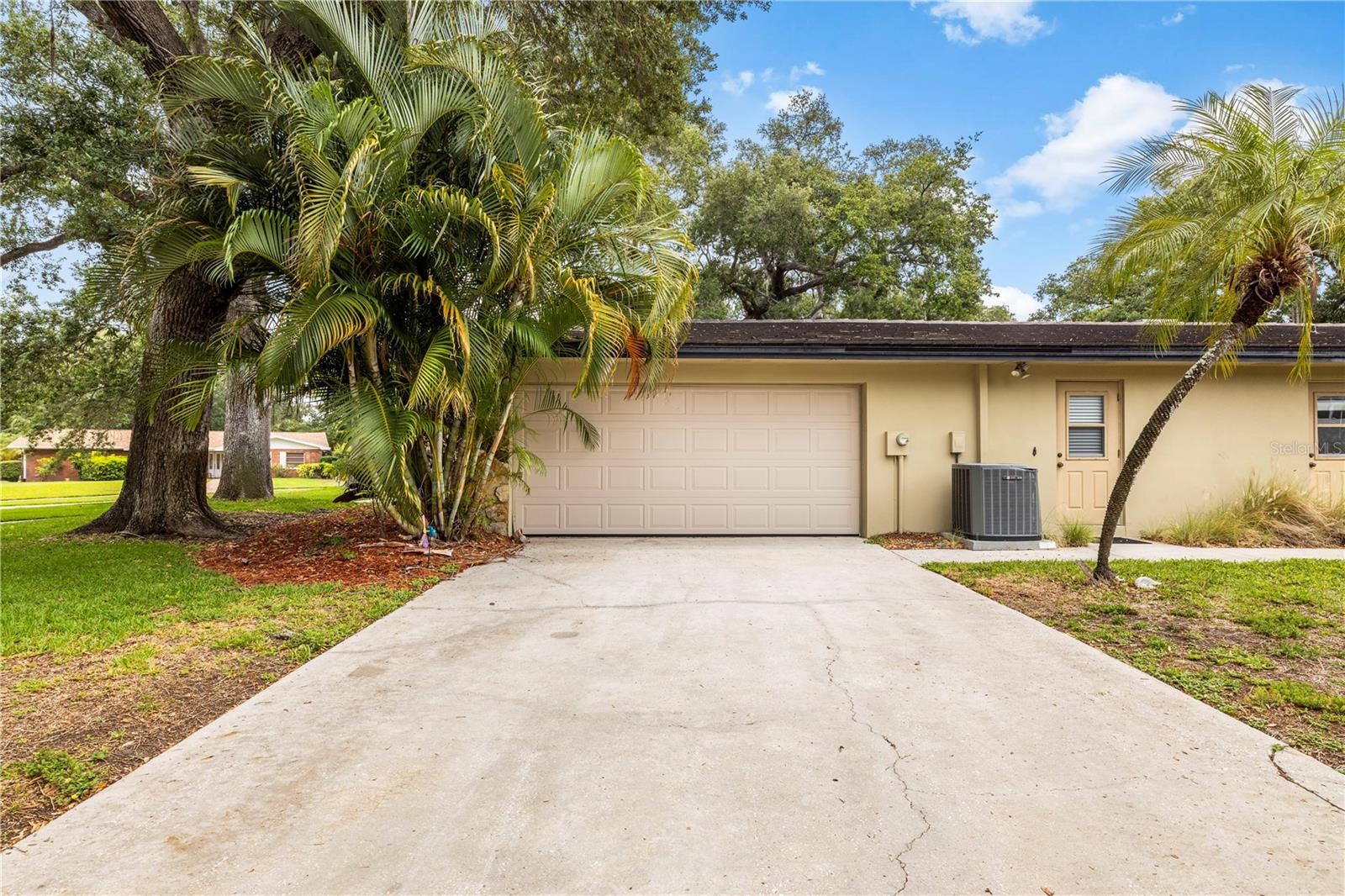 2215 BUENA VISTA DRIVE