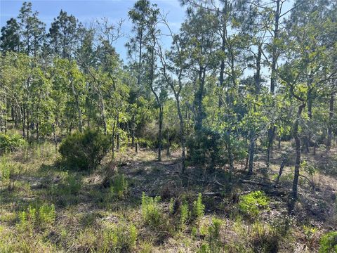 Photo of NE 151st Avenue, Williston, FL 32696 (MLS # G5112144)