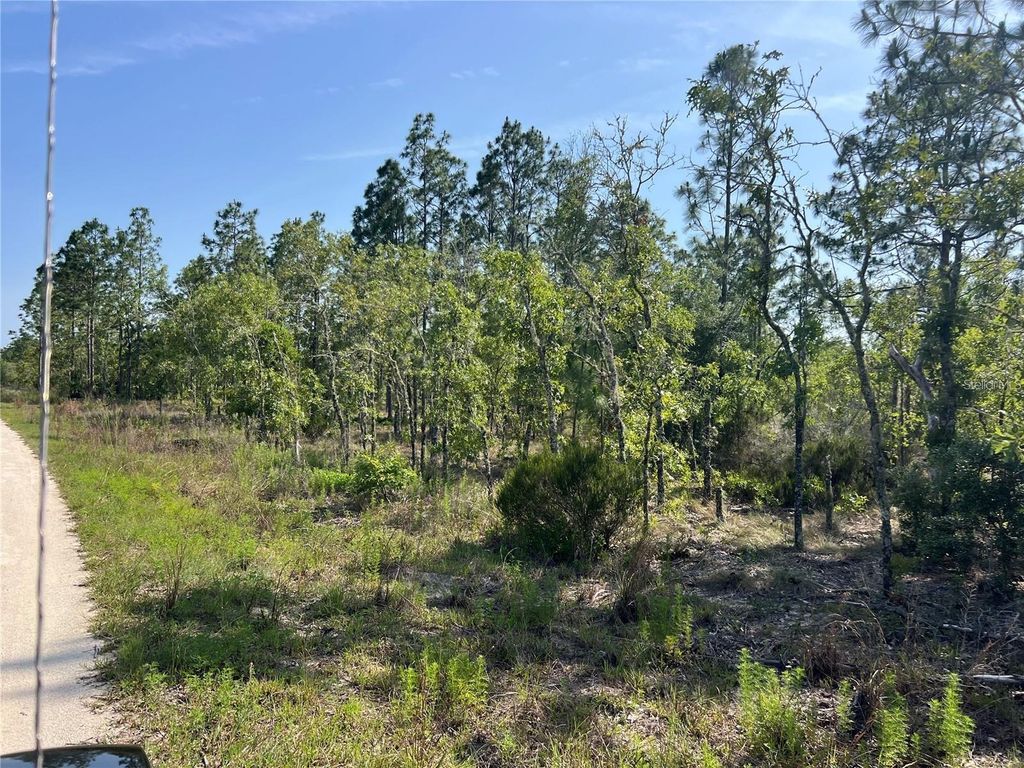 Photo of NE 151st Avenue, Williston, FL 32696 (MLS # G5112144)