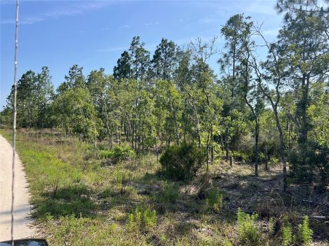 Tiny photo for NE 151st Avenue, Williston, FL 32696 (MLS # G5112144)