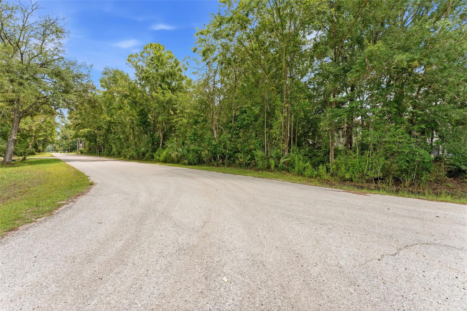 RAVEN BROOK ROAD