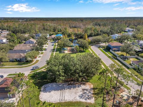 A home in LAND O LAKES