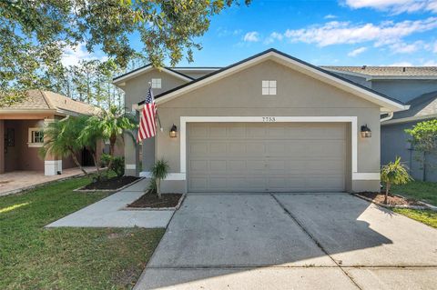 A home in LAND O LAKES