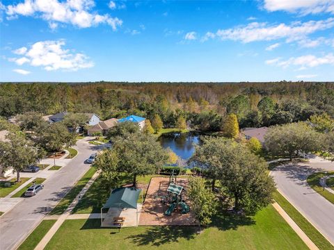 A home in LAND O LAKES