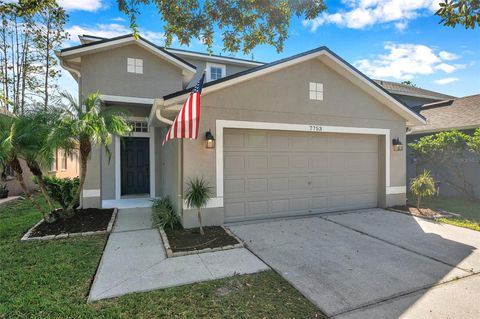 A home in LAND O LAKES