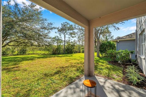 A home in LAND O LAKES