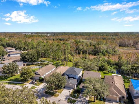 A home in LAND O LAKES