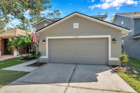 A home in LAND O LAKES