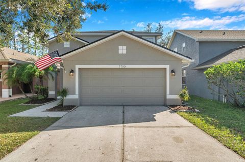 A home in LAND O LAKES