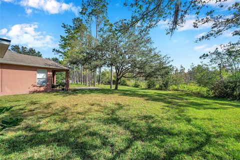 A home in LAND O LAKES