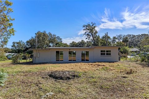 A home in MOUNT DORA