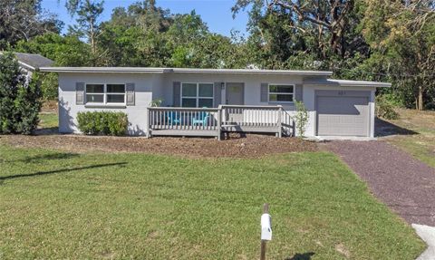 A home in MOUNT DORA