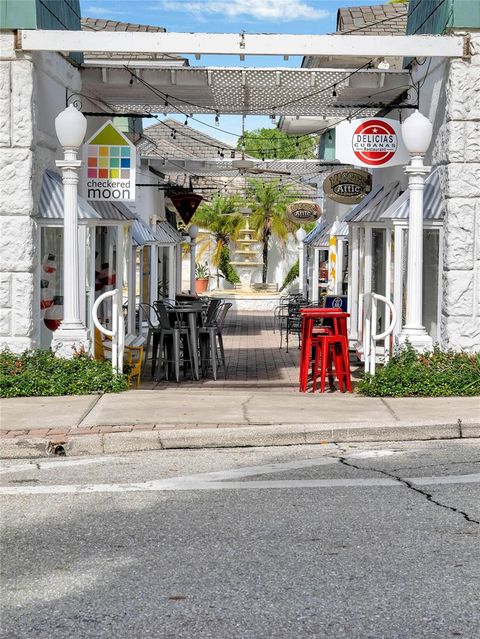 A home in MOUNT DORA