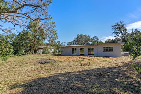 A home in MOUNT DORA