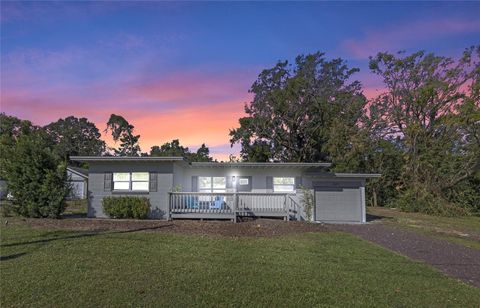 A home in MOUNT DORA