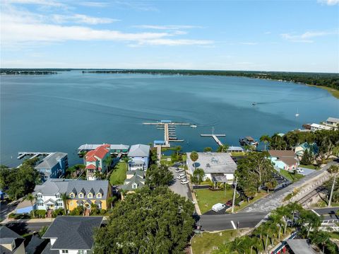 A home in MOUNT DORA