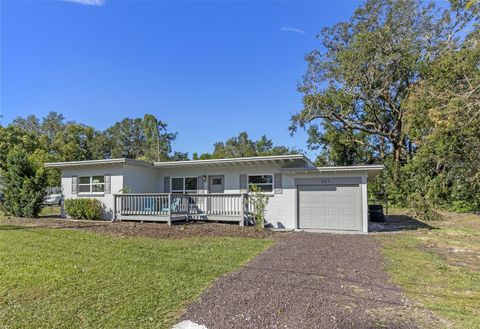 A home in MOUNT DORA