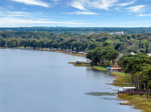 A home in MOUNT DORA