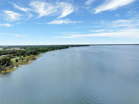 A home in MOUNT DORA