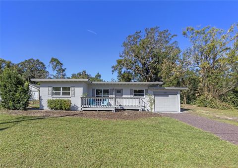 A home in MOUNT DORA