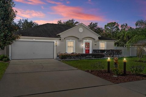 A home in DELTONA