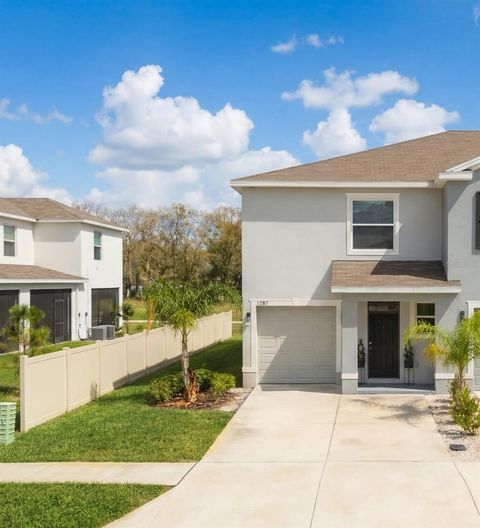 1287 COLT CREEK PLACE WESLEY CHAPEL FL 33543