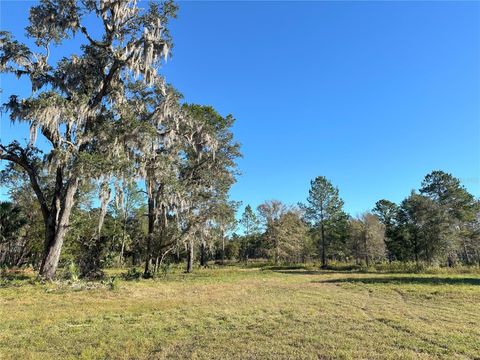 225ac NW 193RD ST REDDICK FL 32686