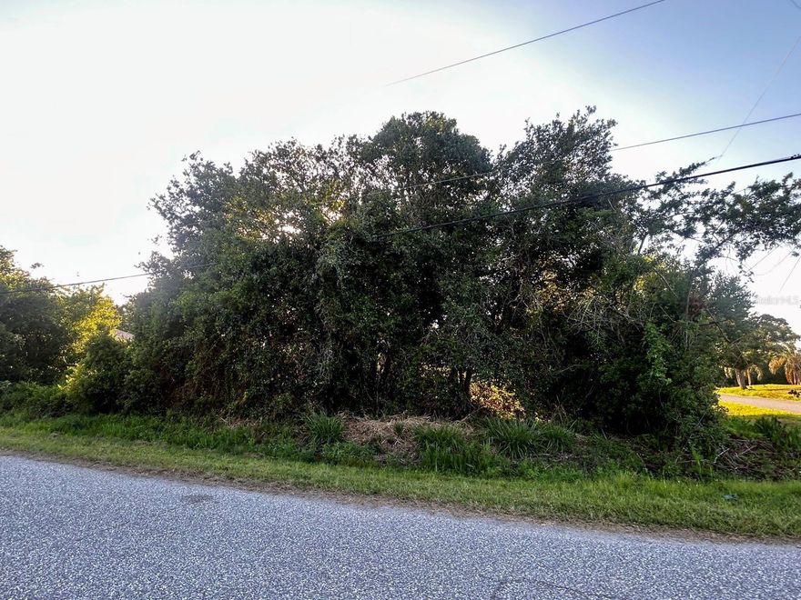 Build your dream home on this beautiful North Port lot! Surrounded by natural beauty and conveniently located near shopping, schools, and I-75 access. Enjoy the freedom of no HOA and the potential for a custom retreat just minutes from everything.