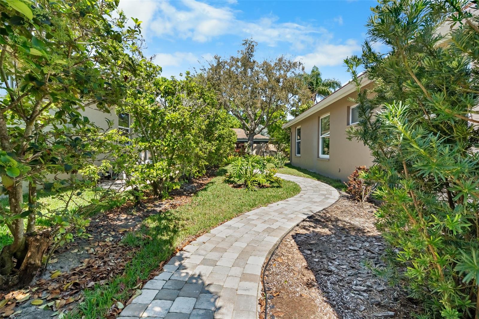 RESERVE AT LAKE TARPON THE - Residential