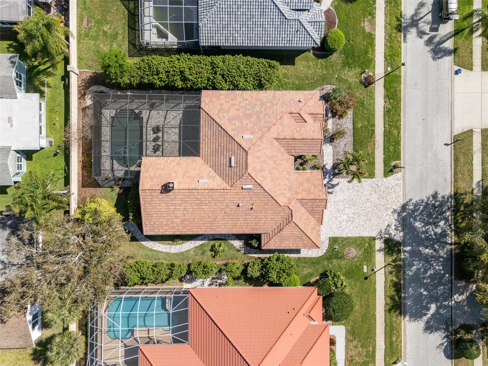 RESERVE AT LAKE TARPON THE - Residential