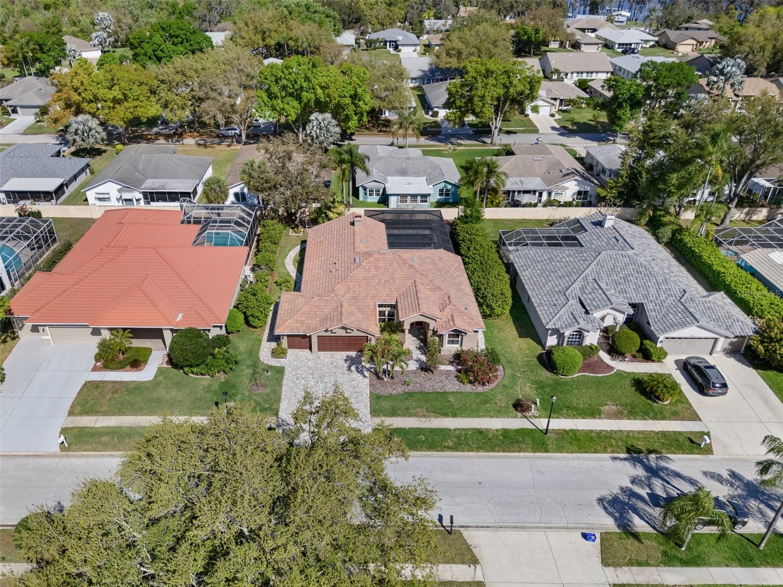 RESERVE AT LAKE TARPON THE - Residential