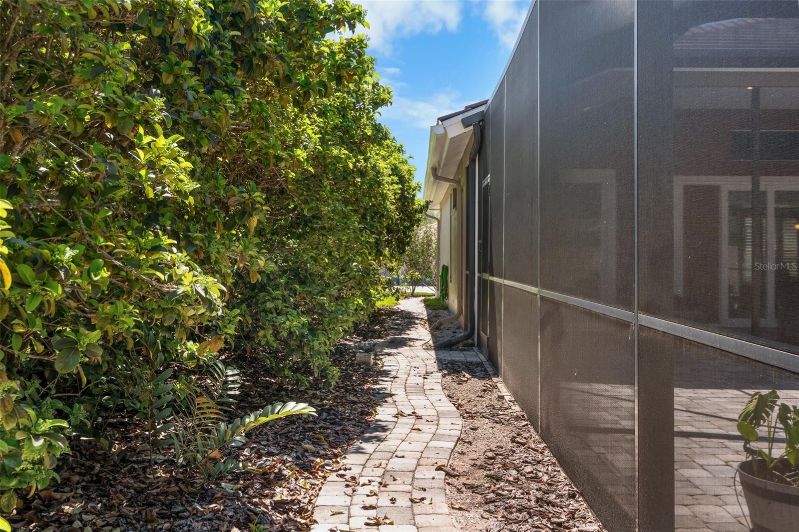 RESERVE AT LAKE TARPON THE - Residential