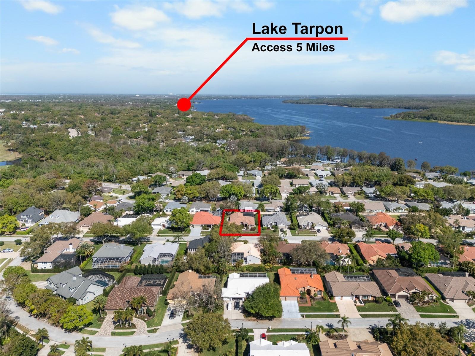 RESERVE AT LAKE TARPON THE - Residential