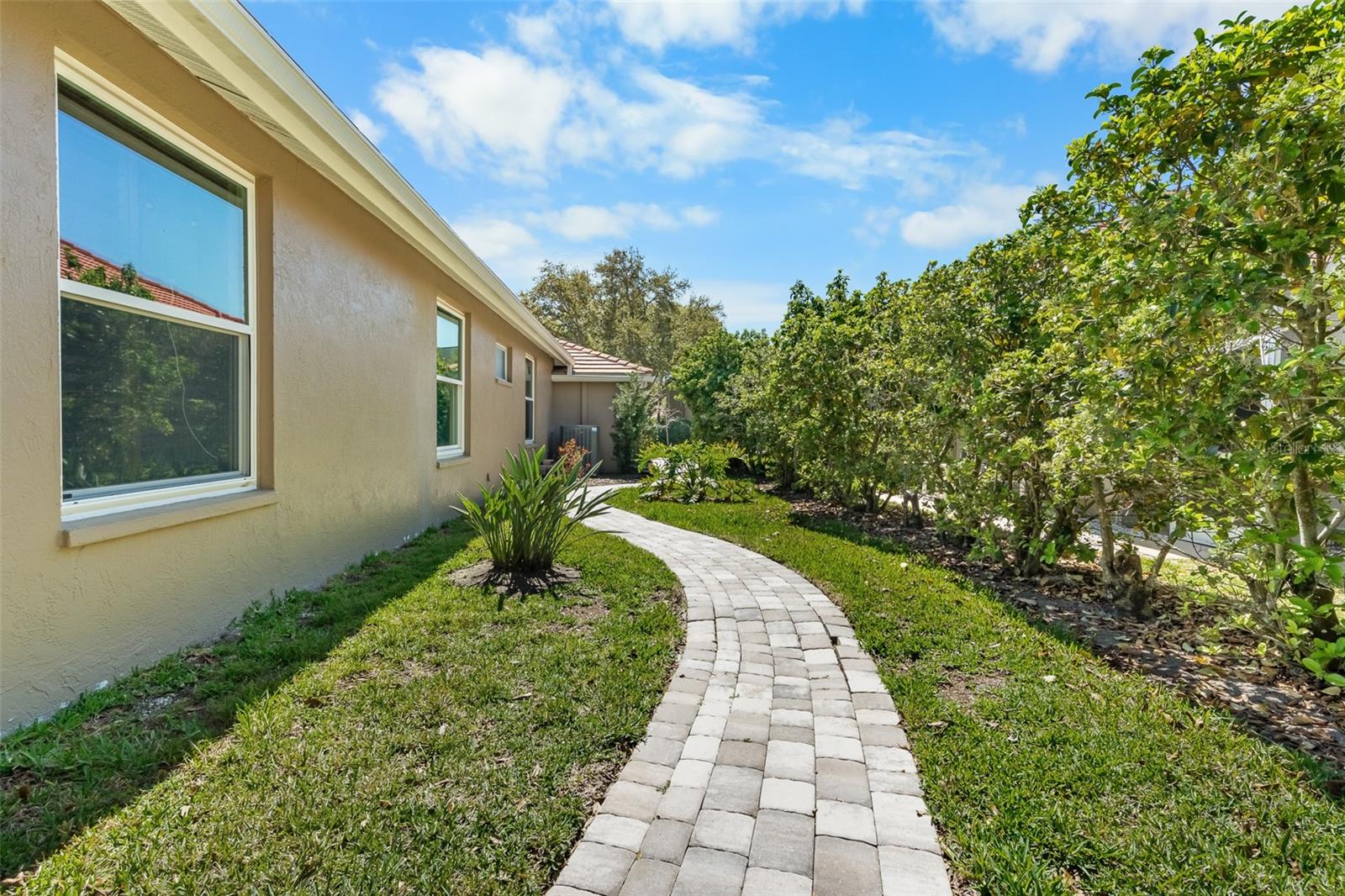 RESERVE AT LAKE TARPON THE - Residential