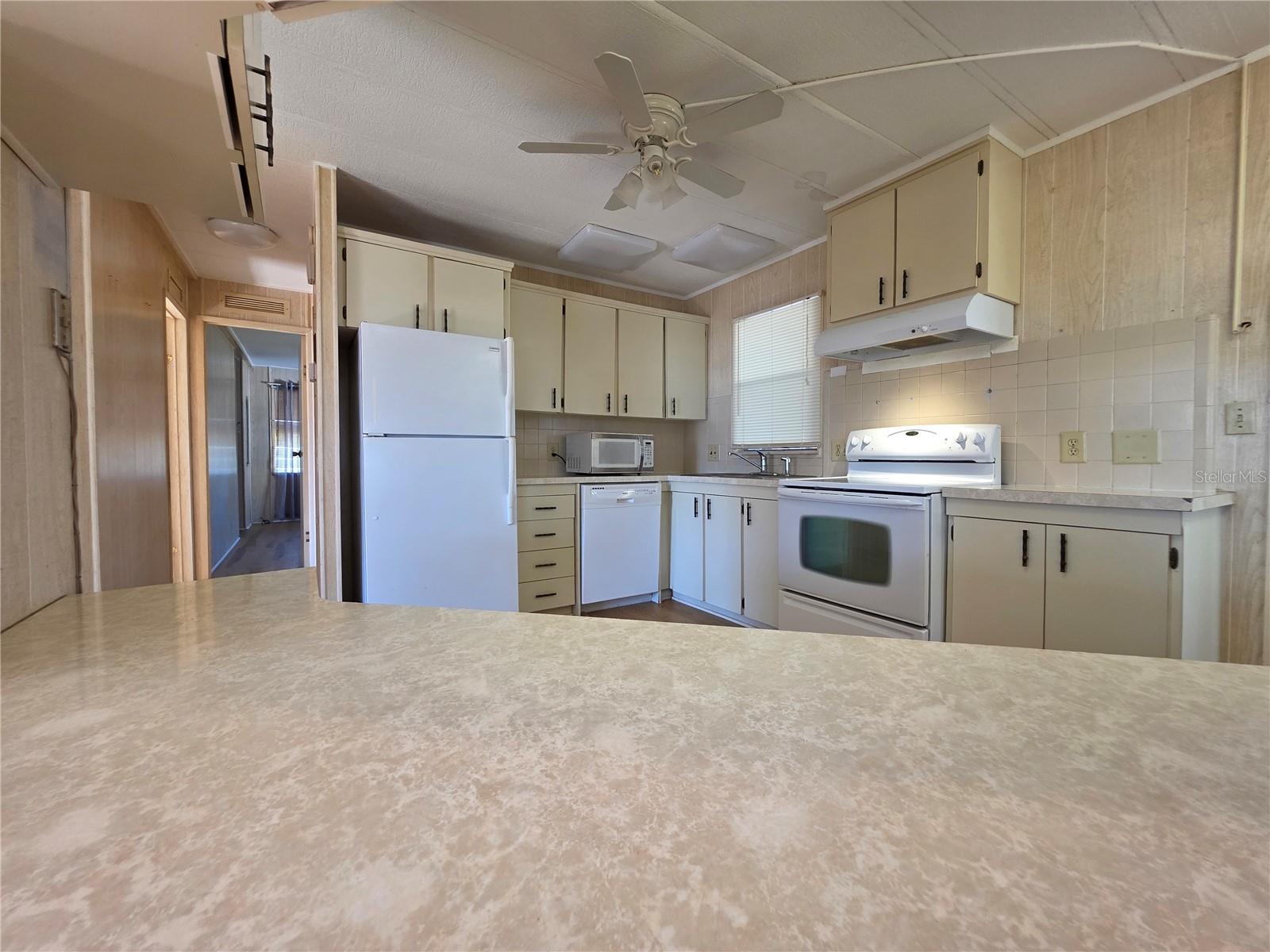 TAVARES LAKE FRANCES ESTATES - Residential