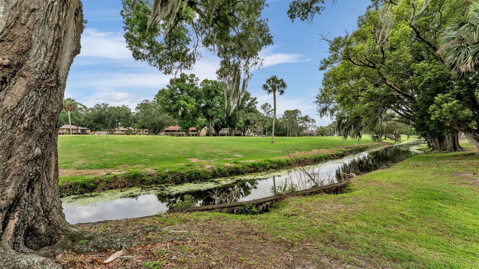 LONE PALM GOLF COURSE - Residential